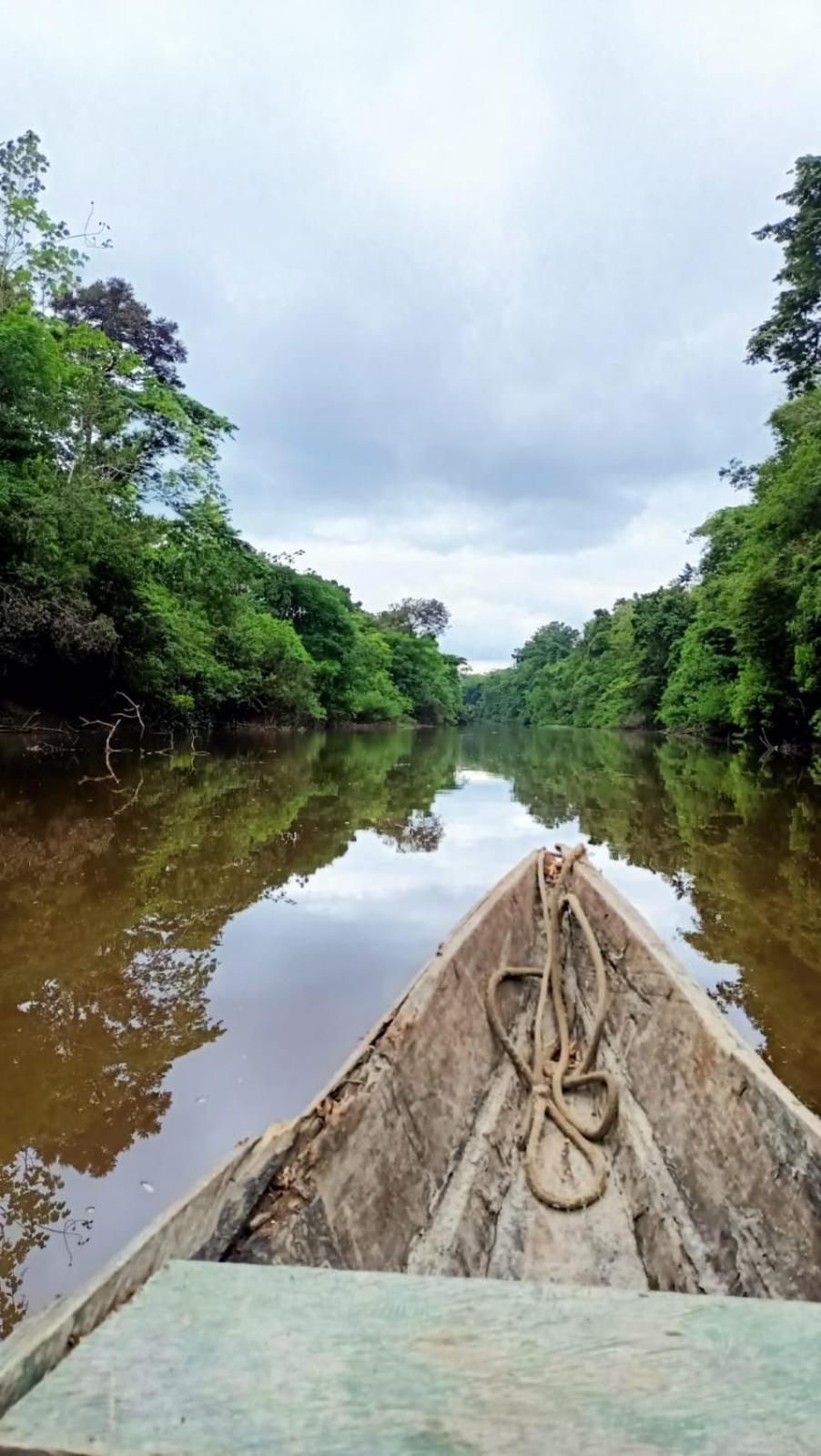 Iguana Haus Iquitos Daire Dış mekan fotoğraf